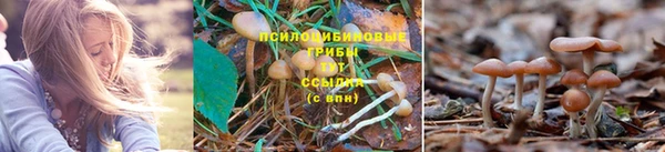 бутик Лагань