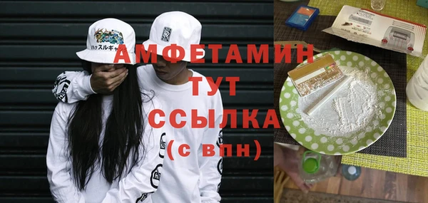гидра Пестово
