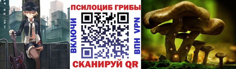 Галлюциногенные грибы прущие грибы  нарко площадка состав  Козьмодемьянск 
